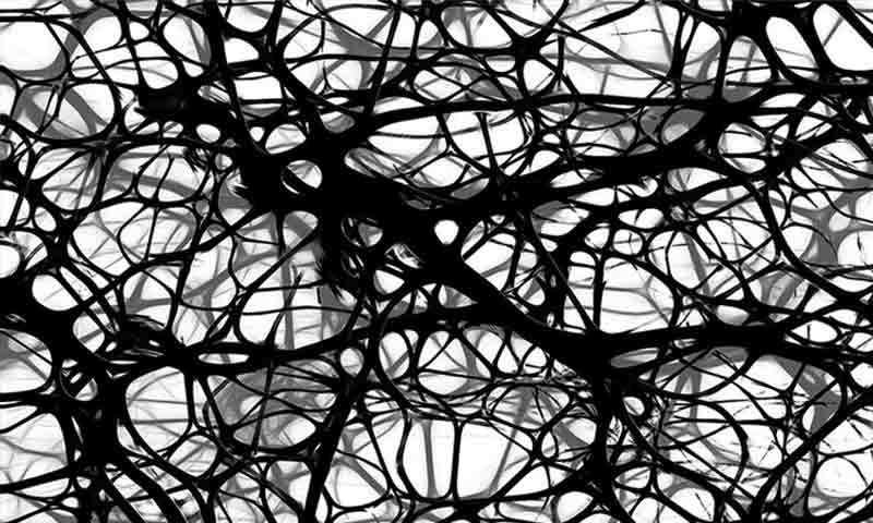 Tangled Neurons