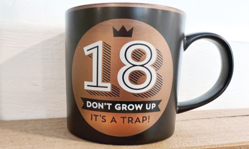 18? Don't Grow Up. It's A Trap.